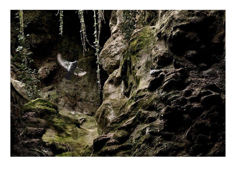 Buttes-Chaumont фото превью