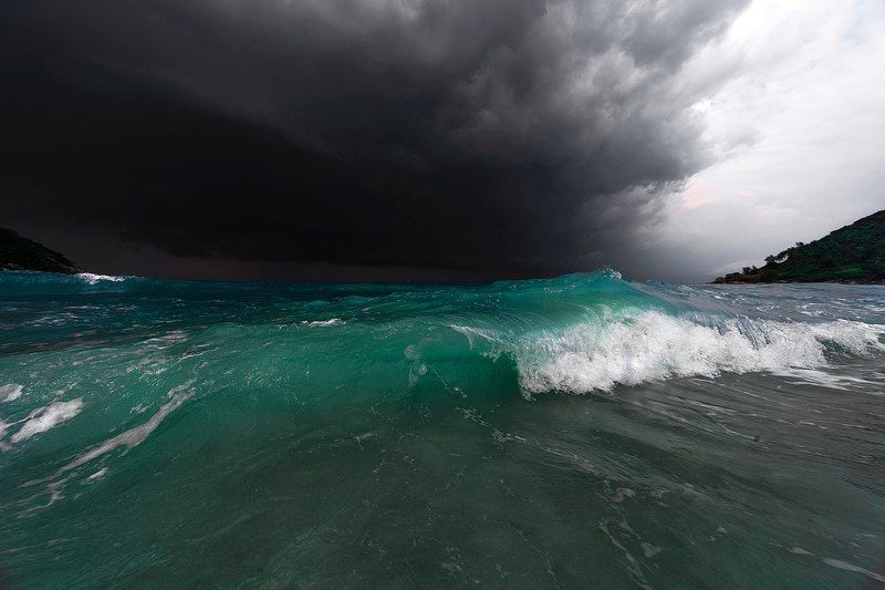 Сиамский заливphoto preview