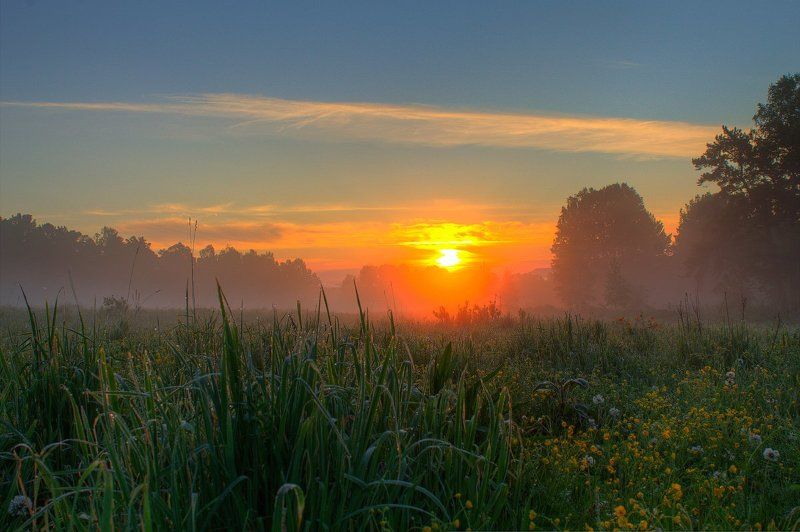 canon, лес, лето, пейзаж, природа, россия, солнце, туман В травеphoto preview