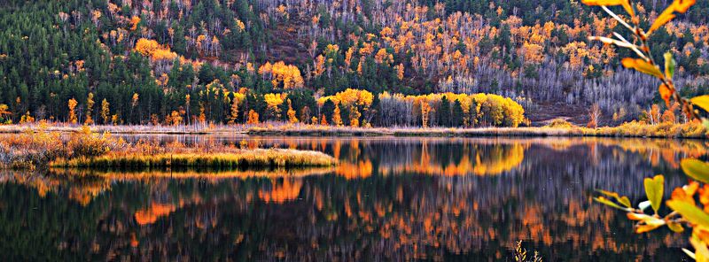 Казахстан. Каркаралинск. озеро. photo preview