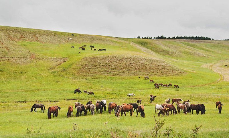 Родинаphoto preview