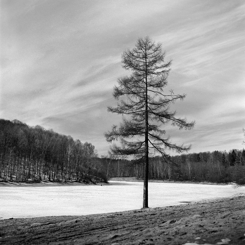 Весна., Пейзаж., Река. \