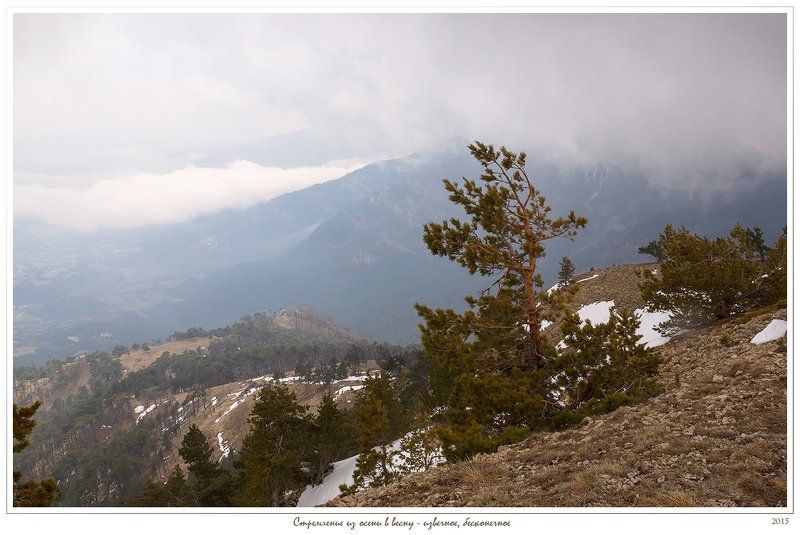 Анатолий покровский, Горы, Крым, Облака, Сосна, Ялта, Ялтинская яйла Стремление из осени в весну - извечное, бесконечное. фото превью