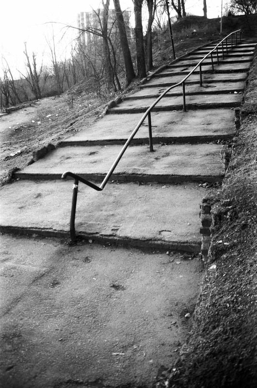 koshkinotime, dmitriysosna, sosna, ladder, b\\w ladder #2photo preview