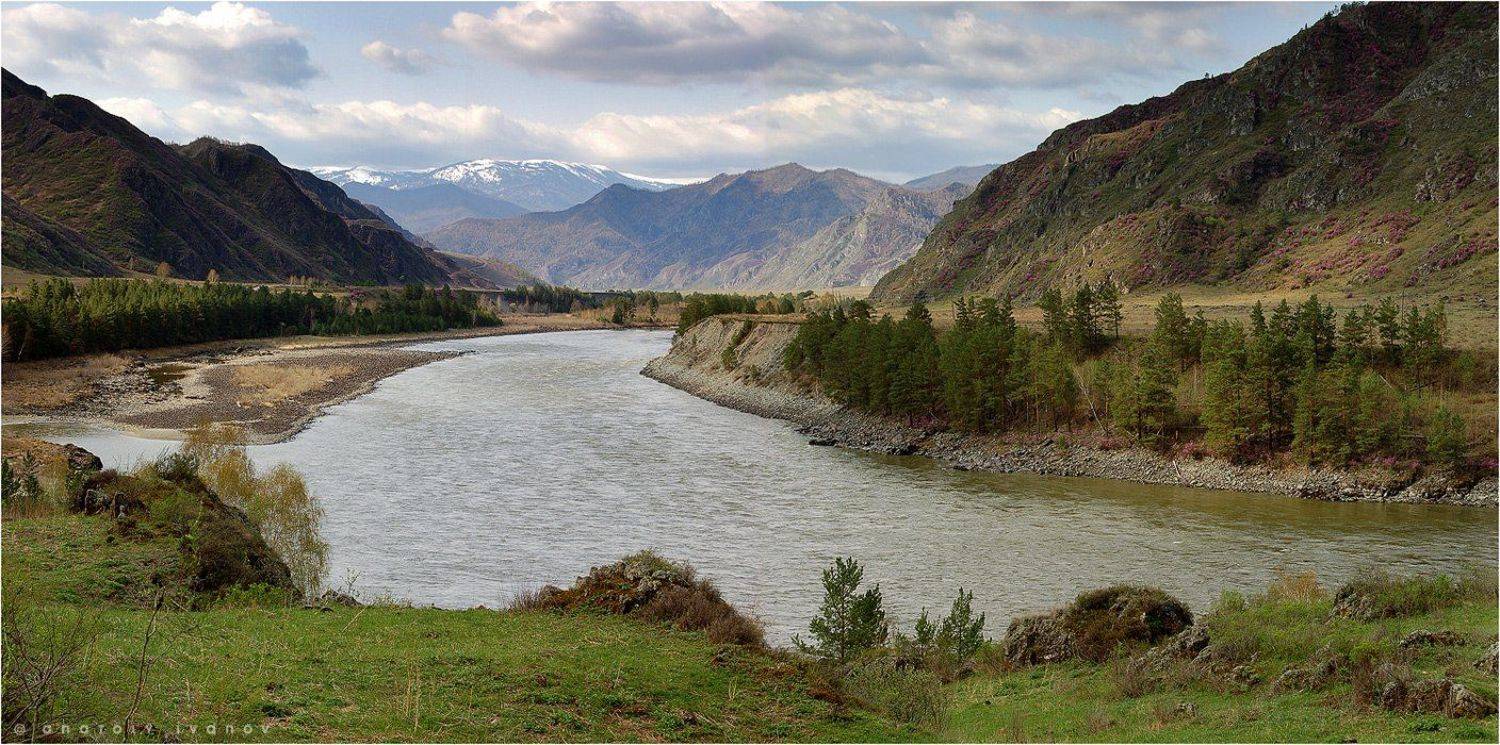 Весенняя Катунь. Автор: Анатолий Иванов Горный Алтай, Анатолий Иванов