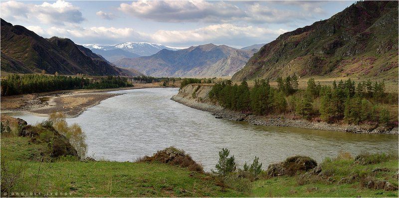 Горный Алтай Весенняя Катуньphoto preview