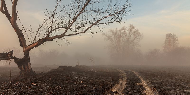 Не дожив до тёплых днейphoto preview