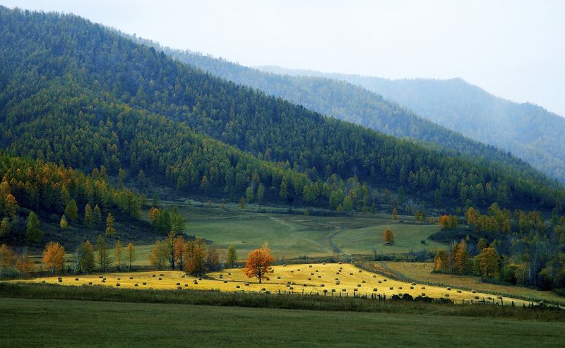 Осенний островокphoto preview