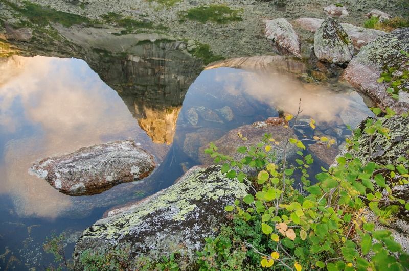 отражая параболуphoto preview