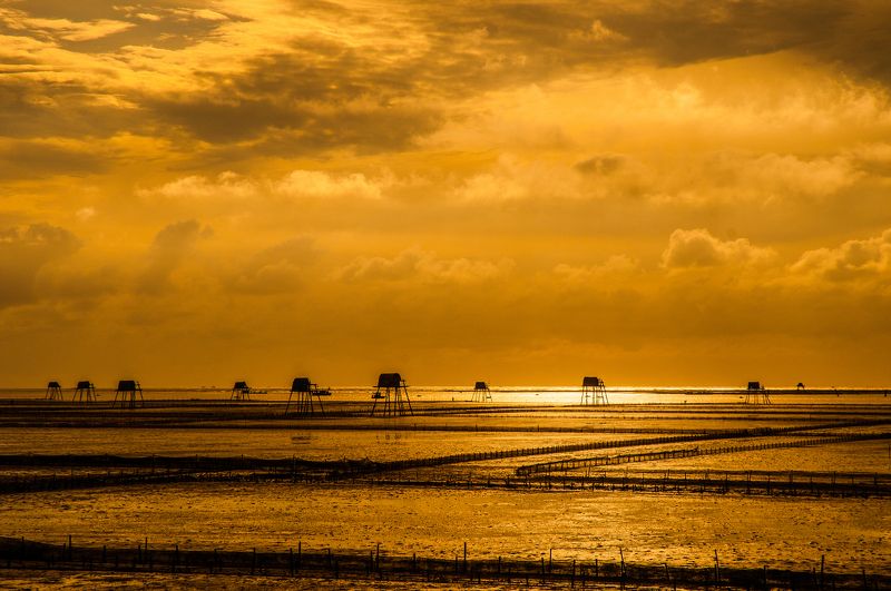 beach, clouds, dawn, landscape, light, nature, sea, seascape, sky, south east asia, sun, sunset, trungducphoto, vietnam, yellow nice dawnphoto preview