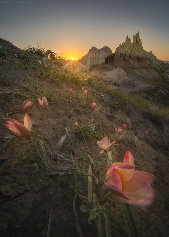 казахстан, фототур, яковлевфототур, мангистау, мангышлак, айракты, босжира, устюрт, карынжарык, тузбаир, торыш, туйесу, сенек Айрактыphoto preview