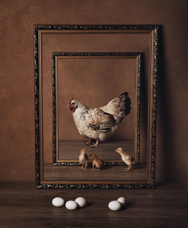 концептуальная Cyclephoto preview