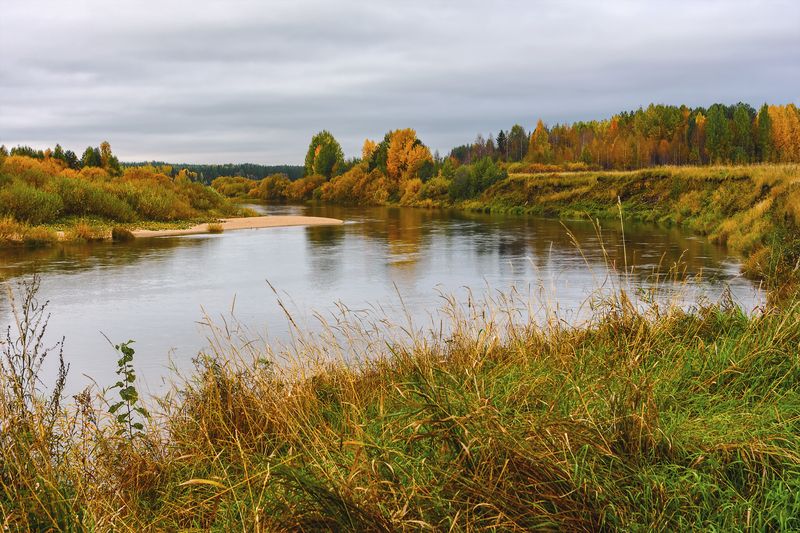 осень, сентябрь, река, пинега, вода, берега, деревья, кусты, трава Осень на реке Пинегеphoto preview