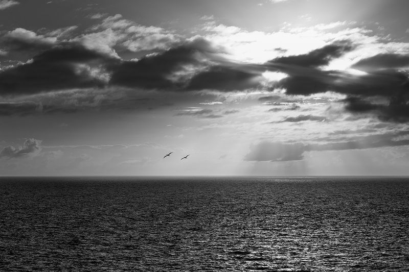 Вдвоёмphoto preview