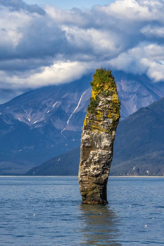 камчатка, скала палец, вилючинский вулкан, тихий океан, природа, чайки Скала Палец на фоне Вилючинского вулканаphoto preview