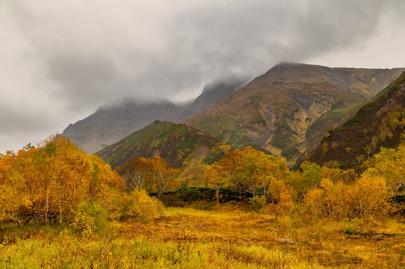 вачкажец, камчатка, путешествие, древний вулкан, осень, береза, каменная береза Золото Камчатской осениphoto preview