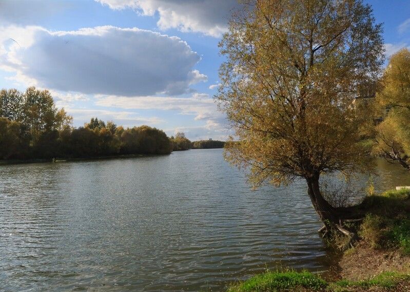 природа,река,дерево,облако Осенние мотивыphoto preview