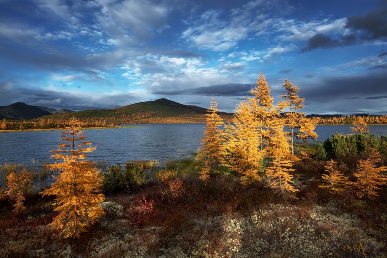 Озеро Джека Лондона  Золотая Колыма... photo preview