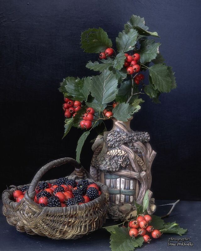 натюрморт, боярышник, ежевика, черный фон Плодово-ягодный натюрмортphoto preview