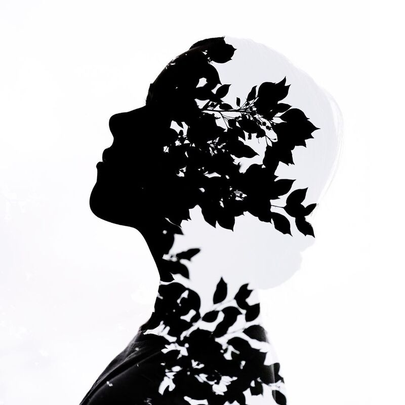 Никаphoto preview