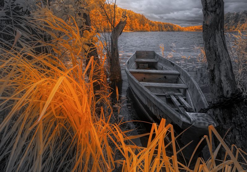 infrared, ик-фото, инфракрасное фото, инфракрасная фотография, пейзаж, осень Осенне-лодочная фото превью