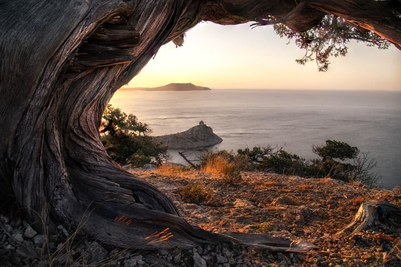 Крым, Россия, Море, Рассвет Утроphoto preview