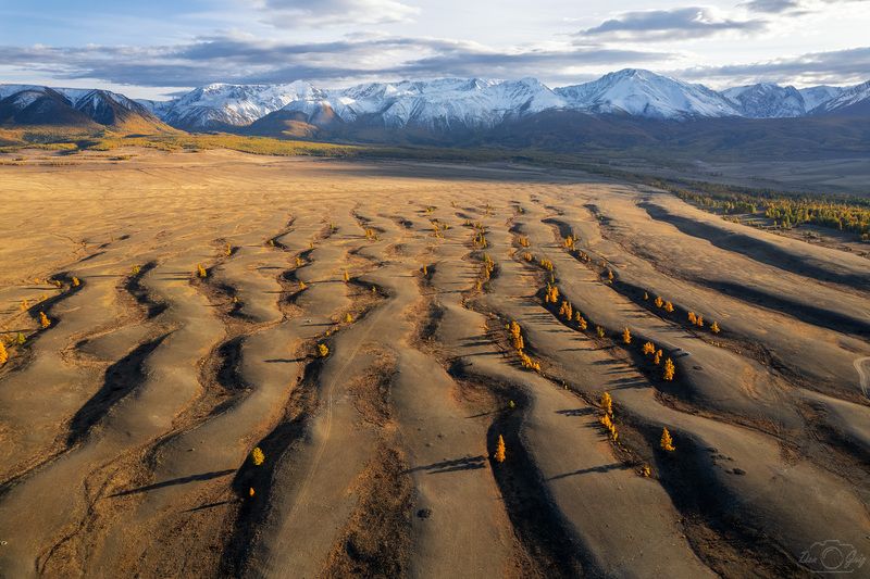 алтай, курайская степь Рябь земли фото превью