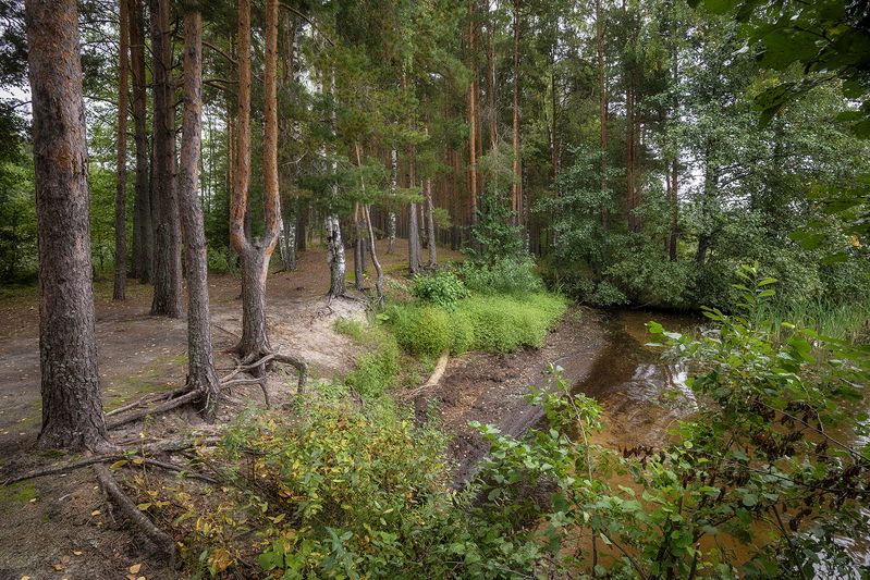 Берегphoto preview