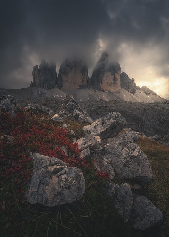 Tales and Tragediesphoto preview