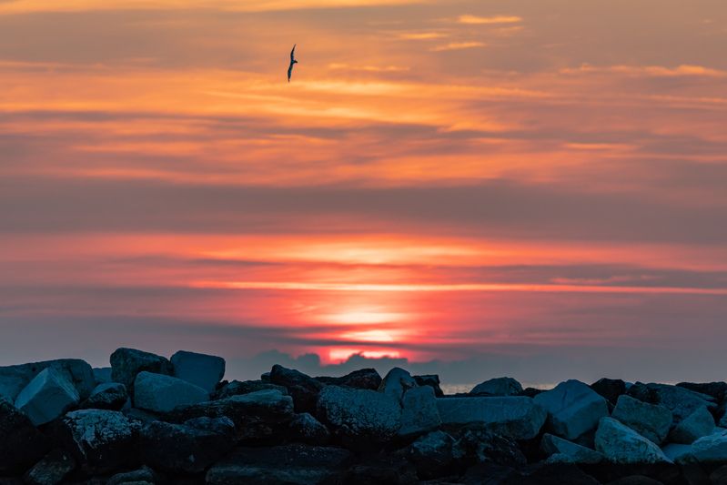 Восходphoto preview