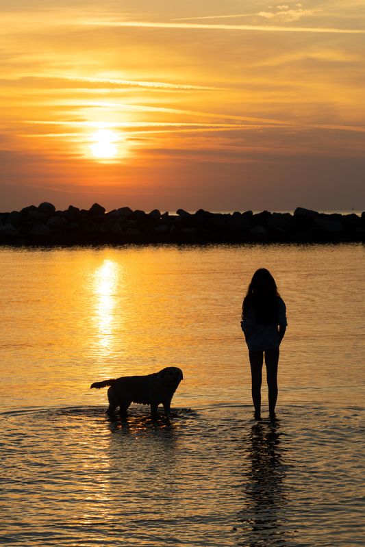 Встречая солнцеphoto preview