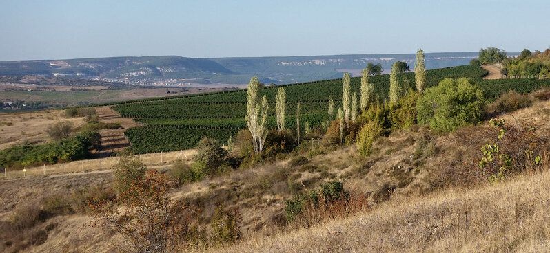 Сентябрьphoto preview