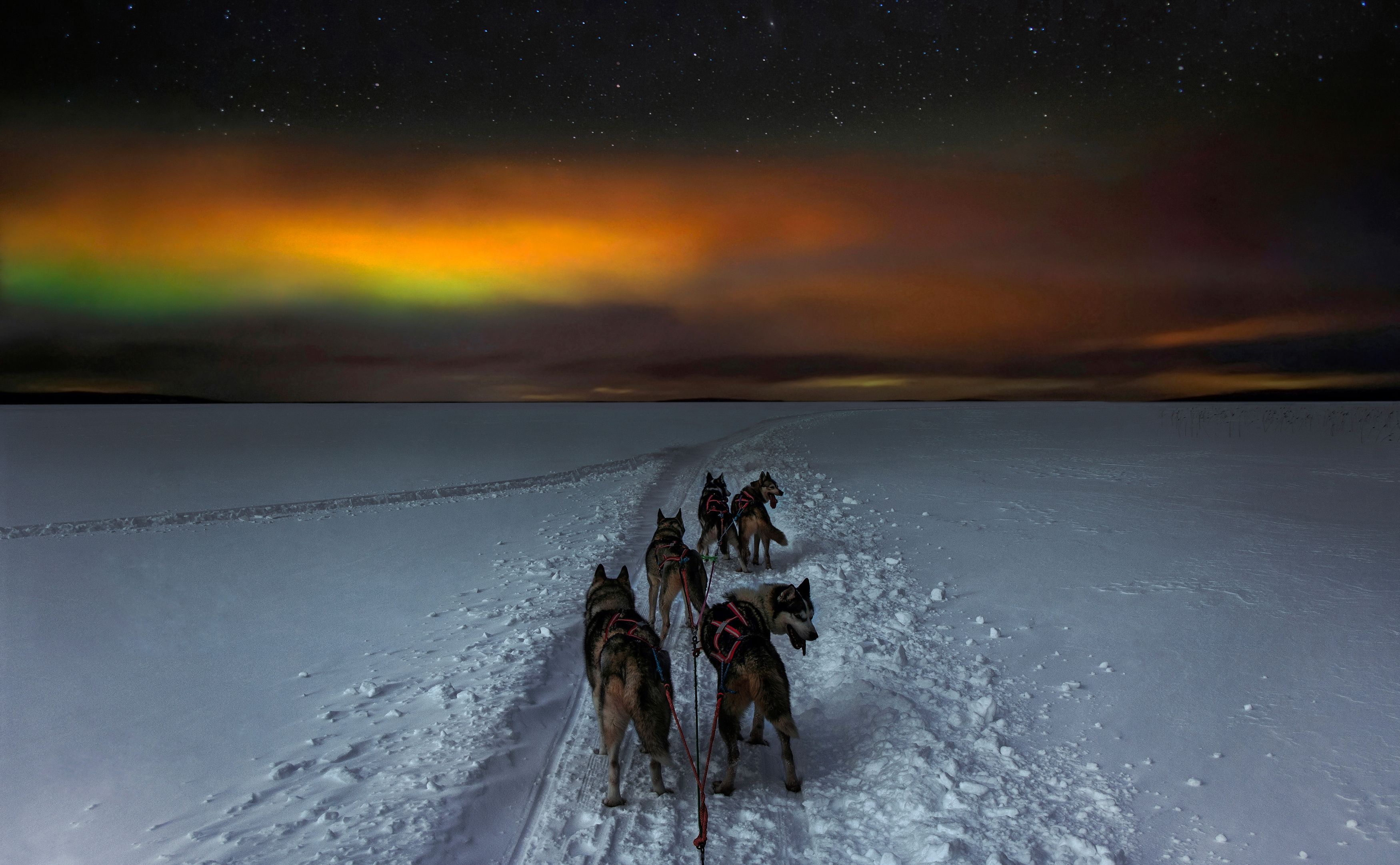 Lapland Explorerphoto preview