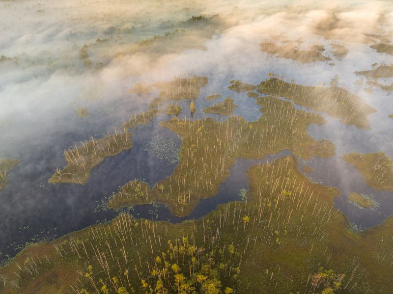 Туманное утроphoto preview