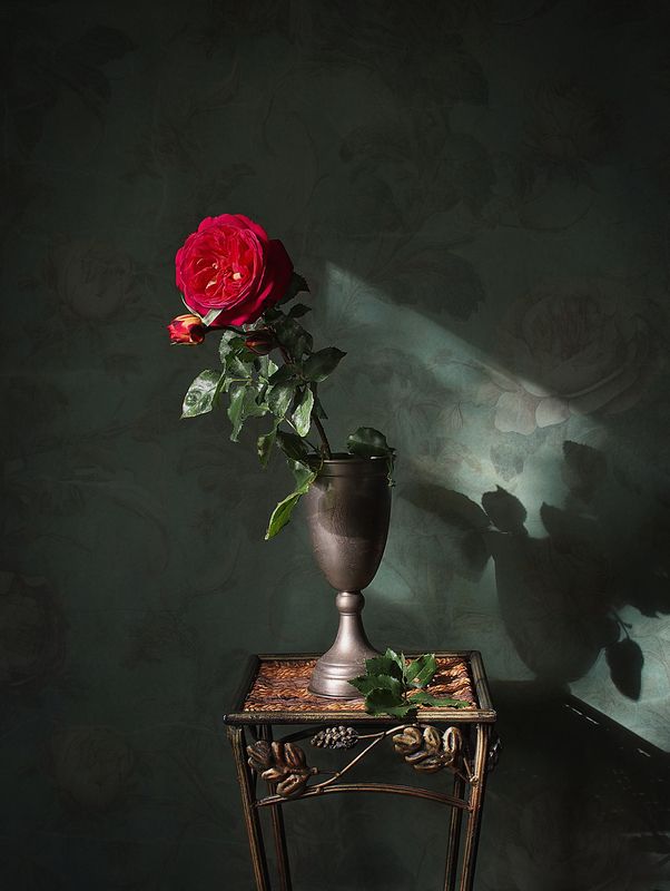 Заглянуло ненадолго лето красное в окно.photo preview