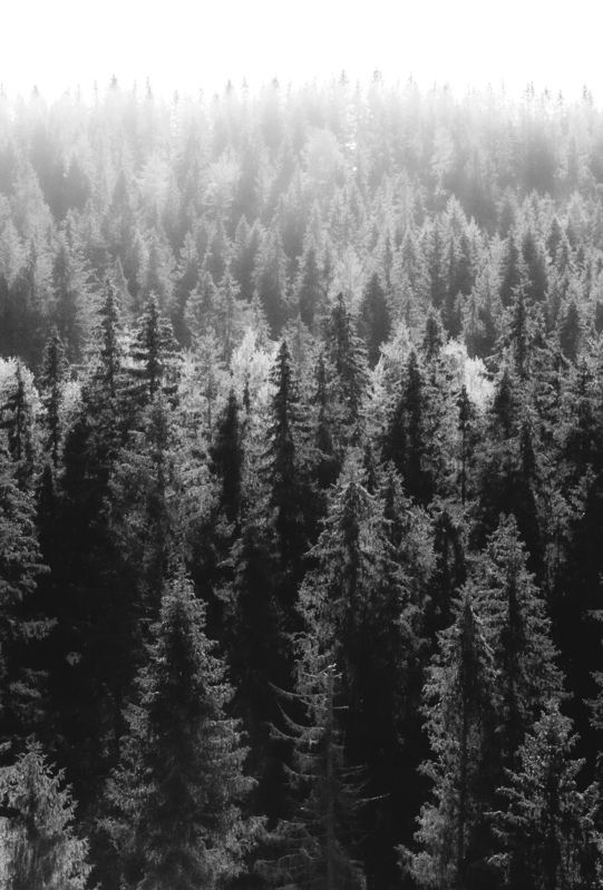 Карелия фото превью