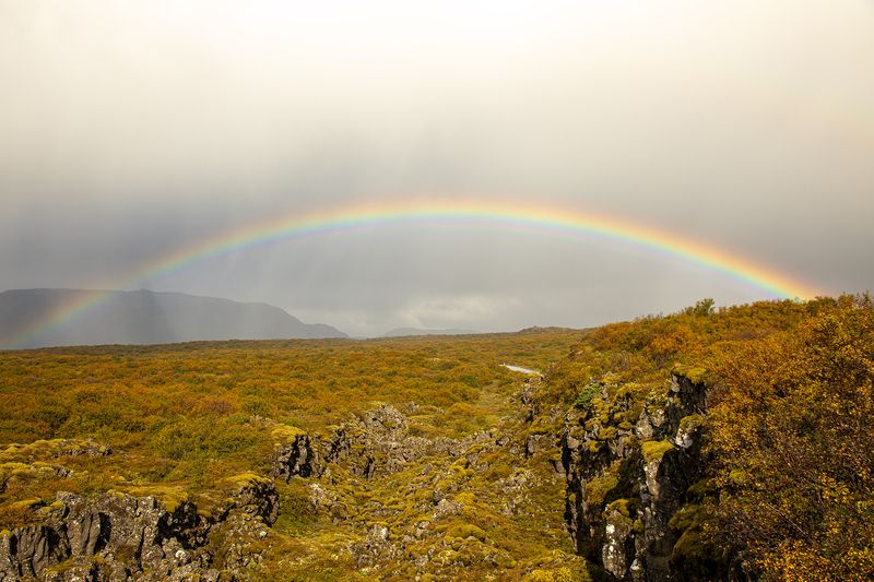 Rainbowphoto preview