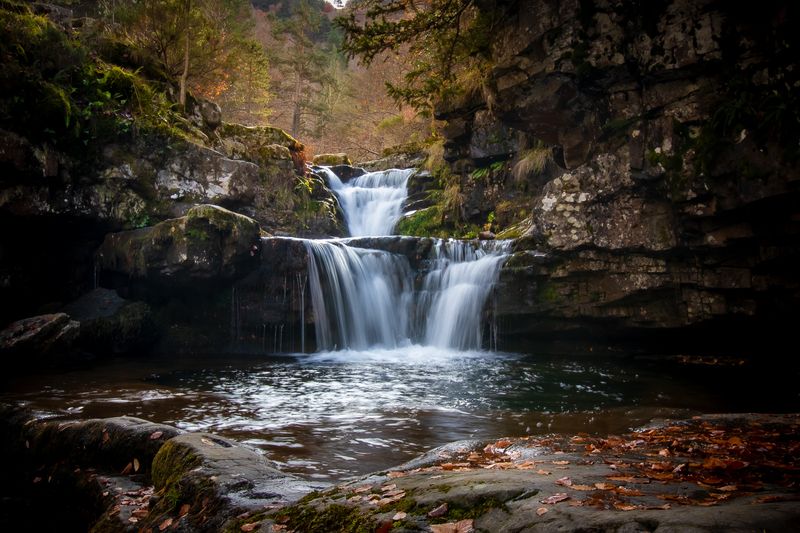 Puente Raphoto preview