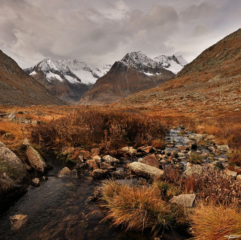 swiss Осень..photo preview