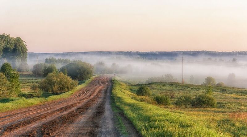 тайга, седельниково, Поездка в тайгу Сибирскую.photo preview