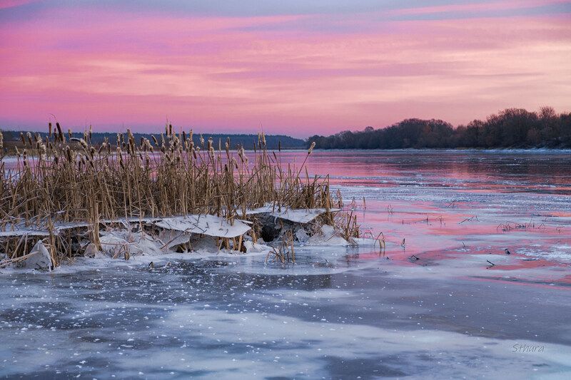 осень предзимье озеро лёд природа пейзаж Озеро Исток. Ноябрь.photo preview
