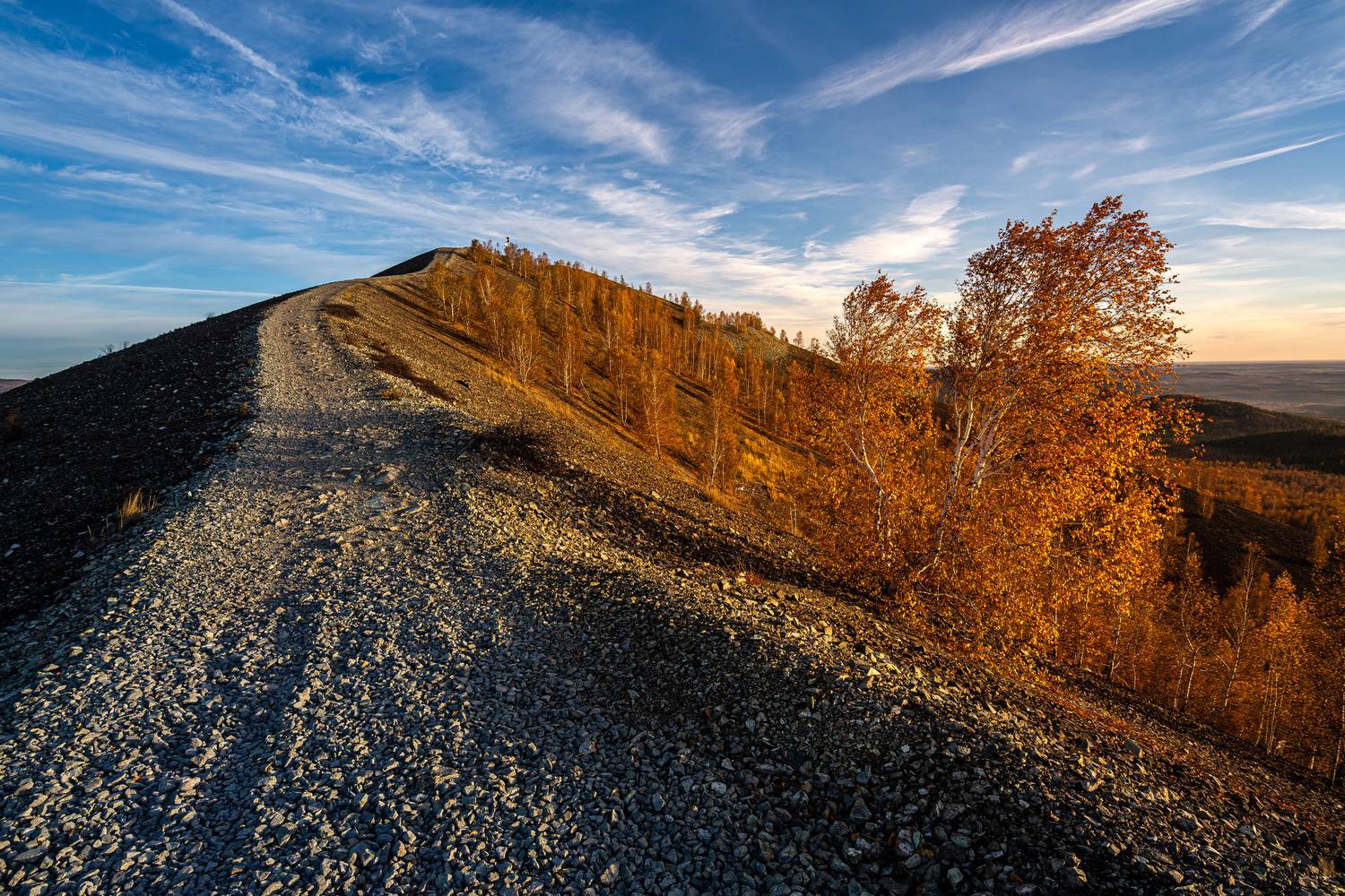 *******. Автор: Андрей Шарапов , Андрей Шарапов