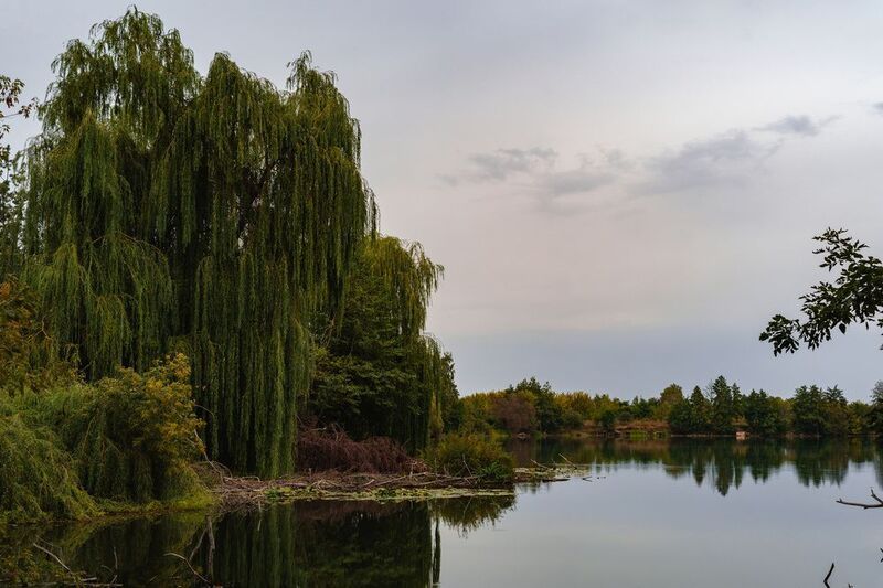 Озероphoto preview