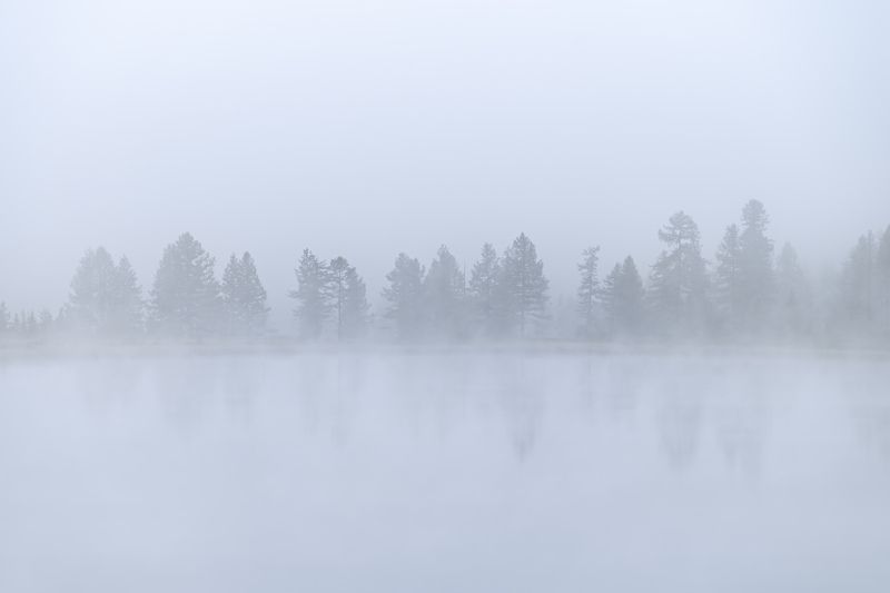 Утренние туманы…  Morning fogs...photo preview