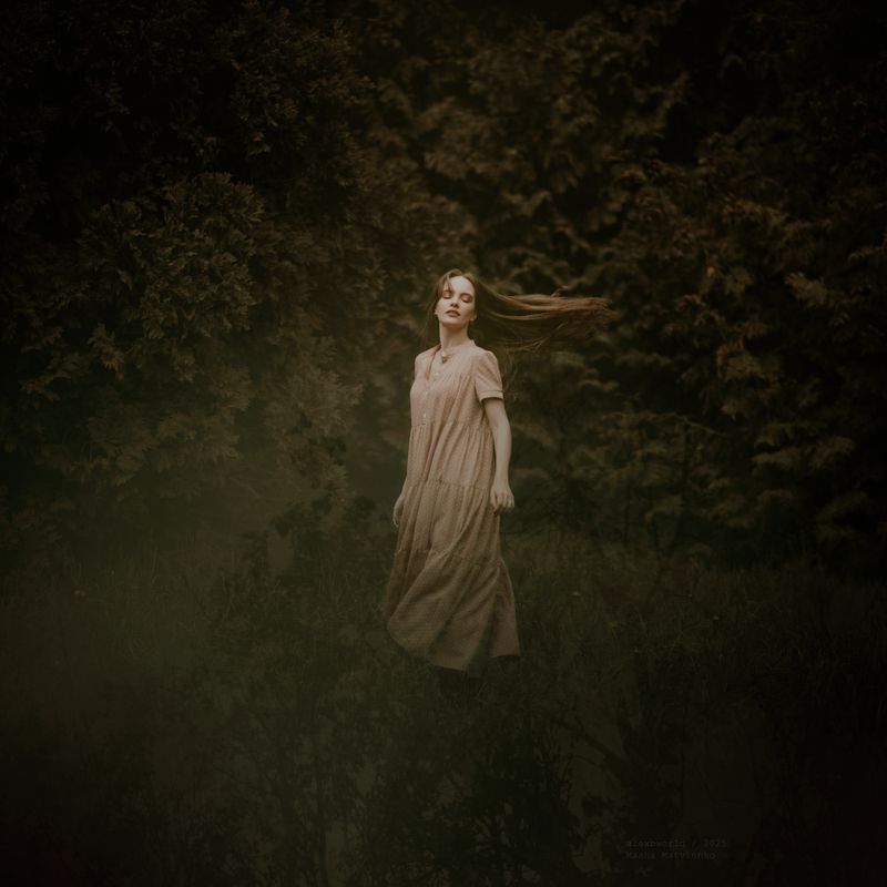 Untitledphoto preview