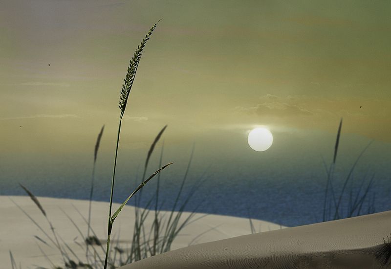 Дюны фото превью