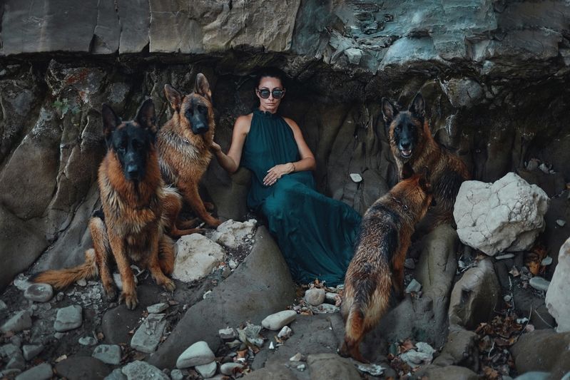 Когда твоя стая — твоя сила. фото превью