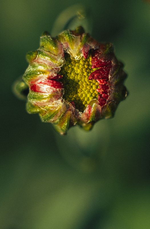 Новая жизньphoto preview