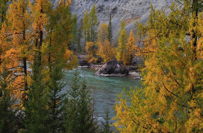 р. Чуяphoto preview