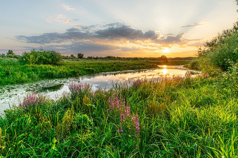 закат на озере Закат на озереphoto preview